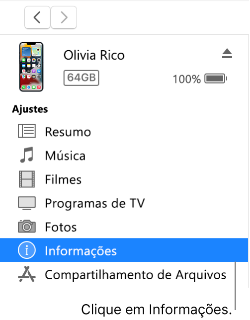 A janela Dispositivo, com a opção Informações selecionada na barra lateral.
