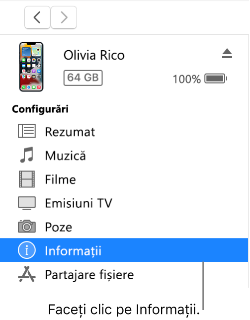 Fereastra Dispozitiv, cu secțiunea Informații selectată în bara laterală.