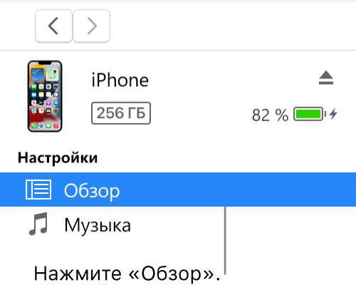 Окно устройства. В боковом меню выбран раздел «Обзор».