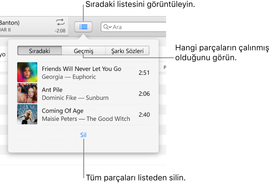 Sıradaki listesini gösteren başlıktaki Sıradaki düğmesi. Daha Önce Çalınanlar listesini görmek için Geçmiş düğmesini tıklayabilirsiniz. Sıradaki listesinin en altındaki Sil bağlantısını kullanarak listedeki parçaların tümünü silebilirsiniz.