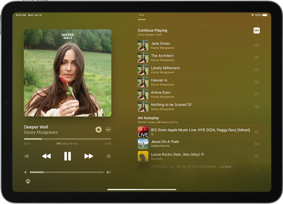 The Now Playing screen showing the Playing Next queue with Autoplay turned on. Similar songs appear below the songs in the album.