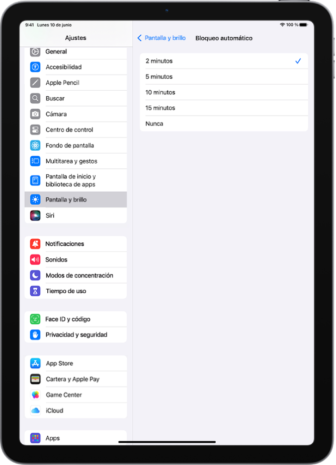 La pantalla “Bloqueo automático”, con ajustes para el tiempo que transcurre hasta que el iPad se bloquea automáticamente.
