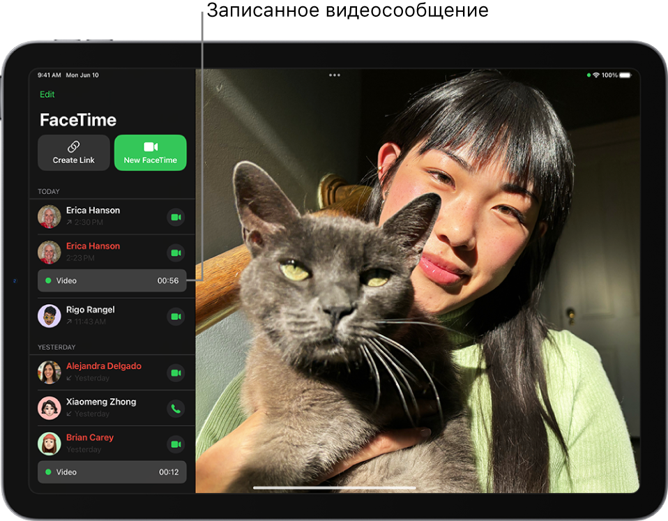 История вызовов FaceTime, в которой показана ссылка на записанное видеосообщение.