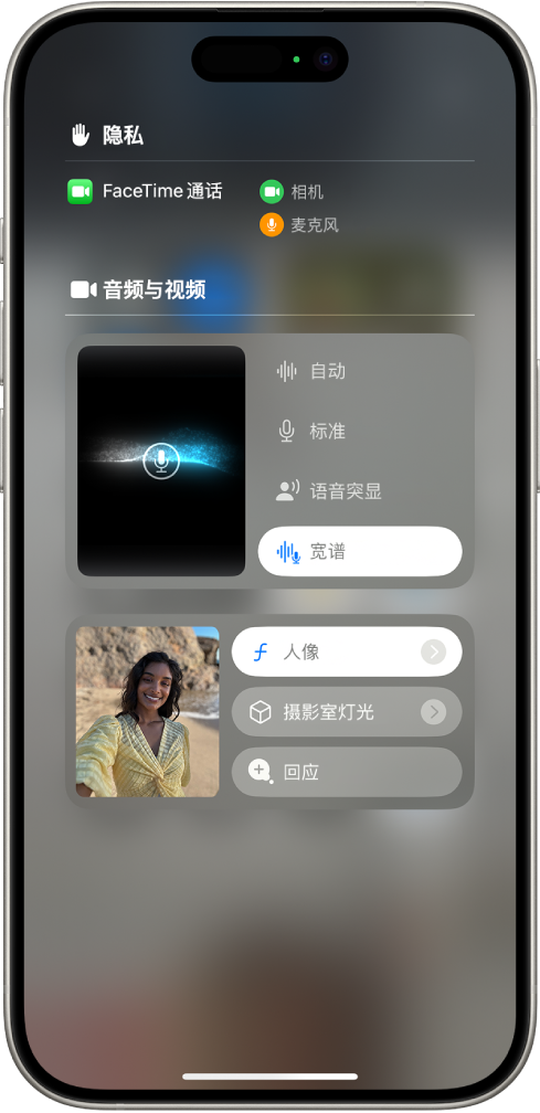 FaceTime 通话期间，控制中心内的“视频效果”设置。“人像”模式已打开，来电者的图像显示在放大的方块中，并带有模糊背景和突出主体的“人像”效果。