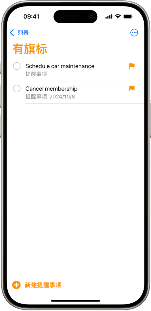 “提醒事项”屏幕显示包含全部有旗标项目的智能列表。