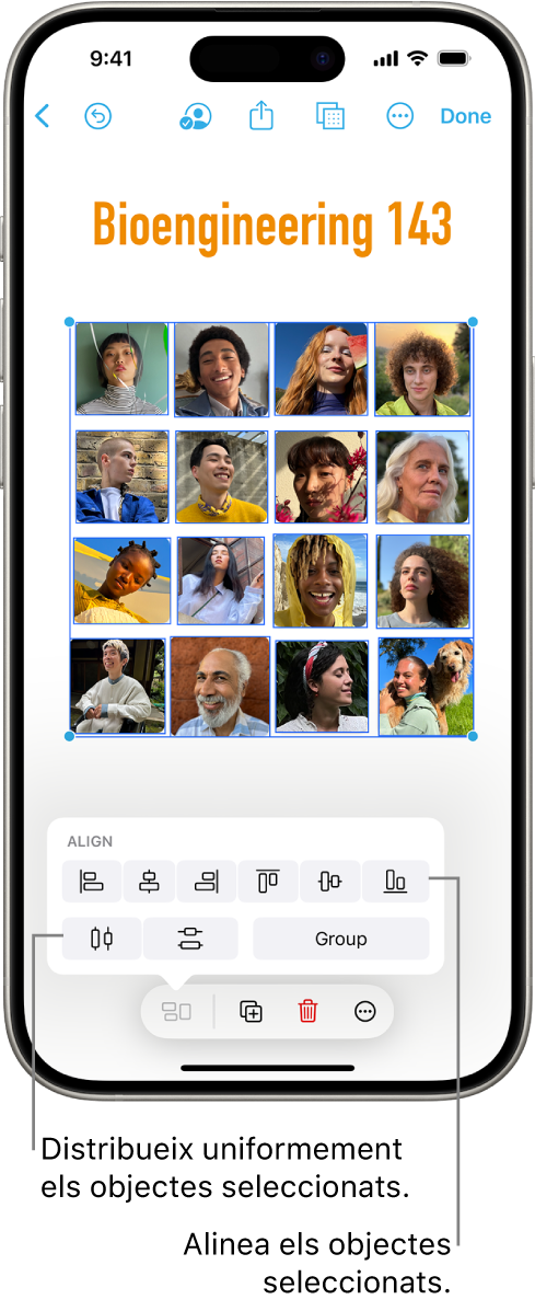 Pissarra de l’app Freeform amb una retícula de fotos. Hi ha diverses fotos seleccionades i les eines d’alineació i agrupació hi apareixen a sobre.