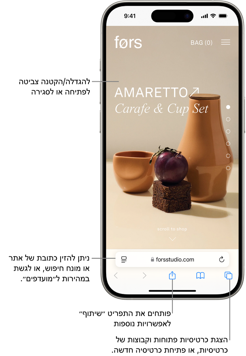 רואים אתר אינטרנט פתוח ב-Safari, עם שדה הכתובת בתחתית האתר. לאורך החלק התחתון, מימין לשמאל, נמצאים הכפתורים ״הקודם״, ״הבא״, ״סימניות״ וכרטיסיות״.