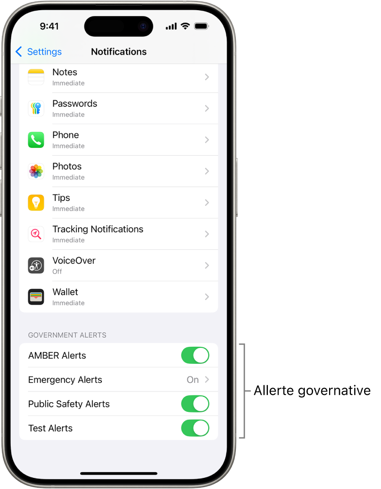 La schermata di Notifiche che mostra gli allarmi governativi che puoi attivare per riceverli.