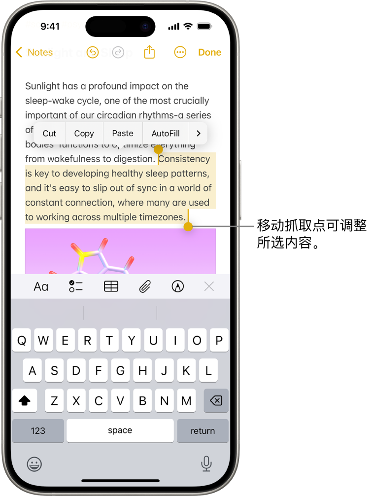 “备忘录” App 的备忘录中选中了文本。所选文本上方是“剪切”、“拷贝”、“粘贴”和“自动填充”按钮。所选文本高亮标记，并带有用于从任一端调整所选内容的抓取点。