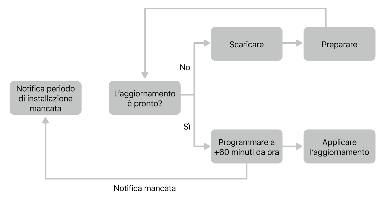 Grafico aggiornamento software.