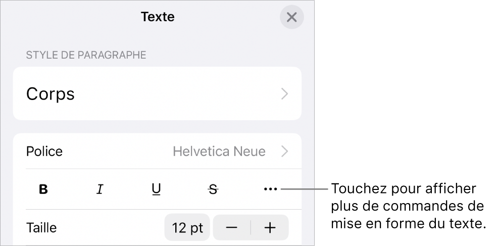 Onglet Texte des commandes Format accompagné d’une légende pour le bouton Plus d’options de texte.