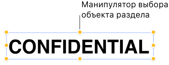 Объект с манипуляторами.