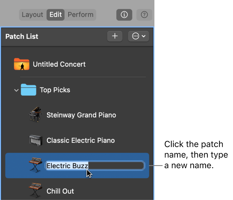 Figure. Naming a patch in the Patch List.