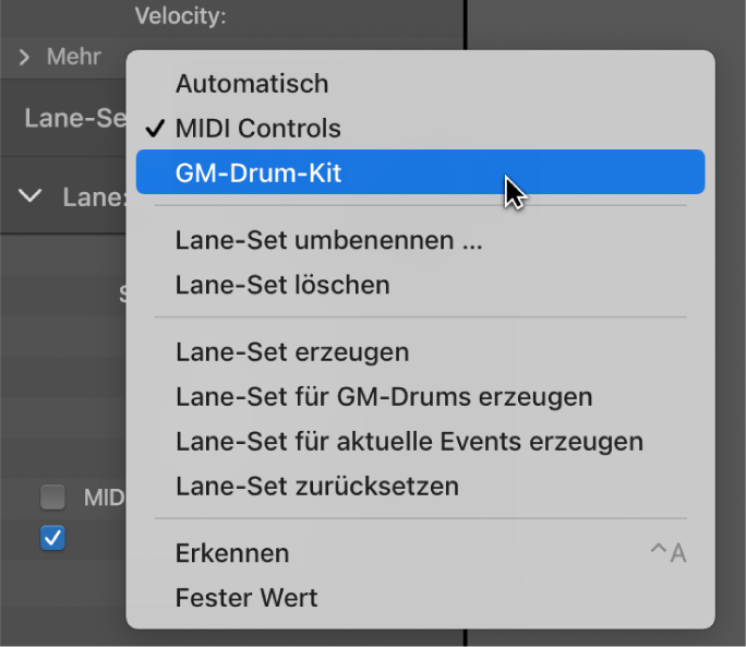 Abbildung. Name des Lane-Sets im Einblendmenü