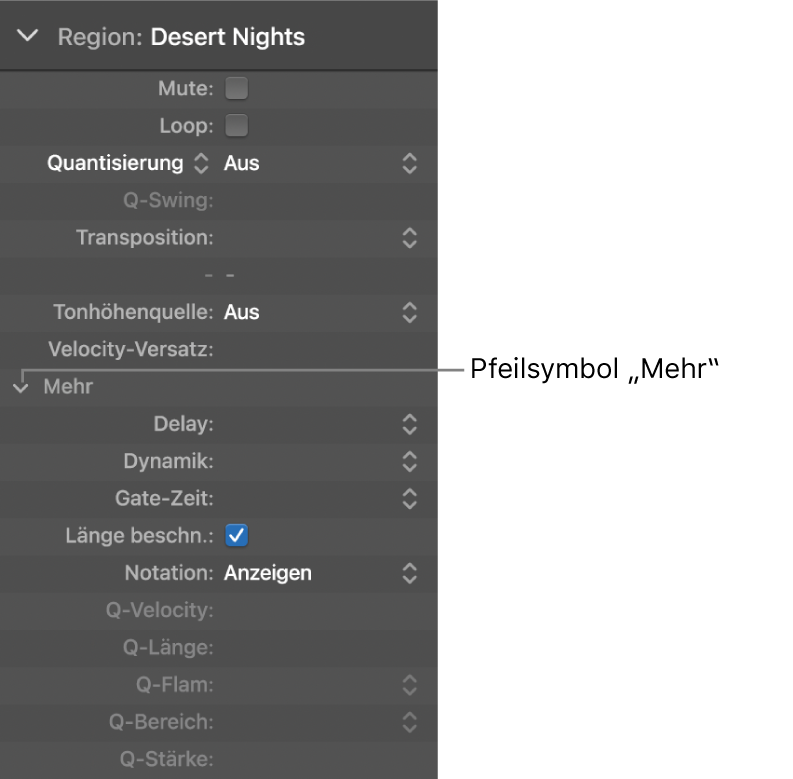 Abbildung. Informationsfenster „Region“ mit erweiterten Parametern.