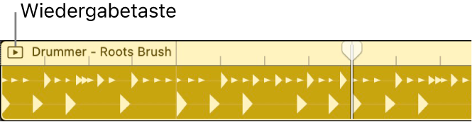 Abbildung. Aktuell ausgewählte Session Player-Region.