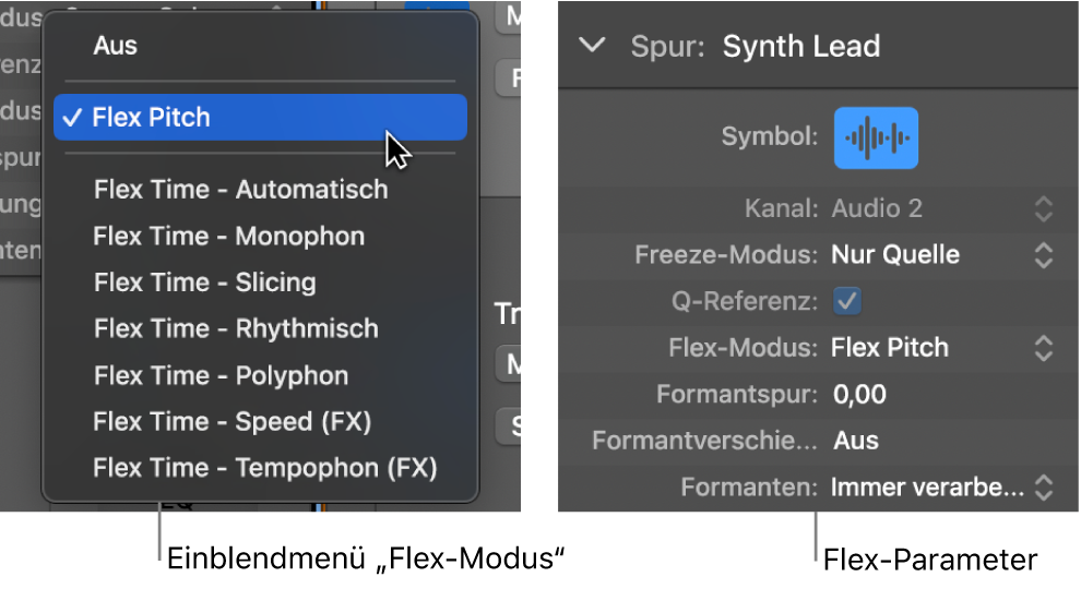 Abbildung. Informationsfenster „Spur“ mit Flex-Algorithmen und Parametern