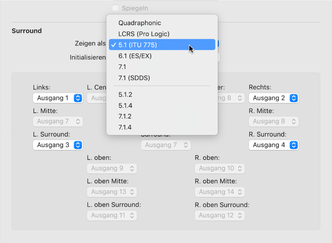 Abbildung. Surround-Einstellungen