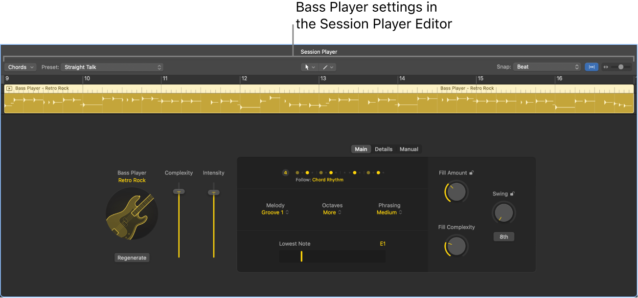 Figure. The Session Player Editor with Bass Player settings.