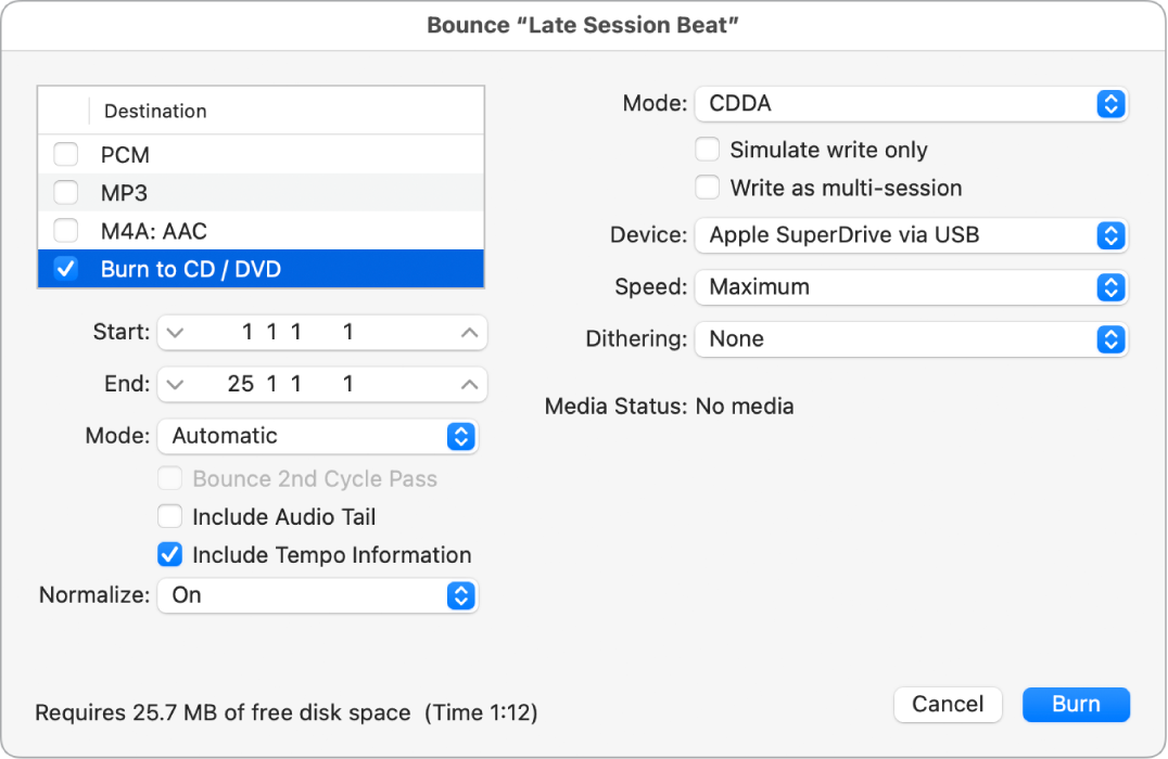 Figure. Burn options in the Bounce window.