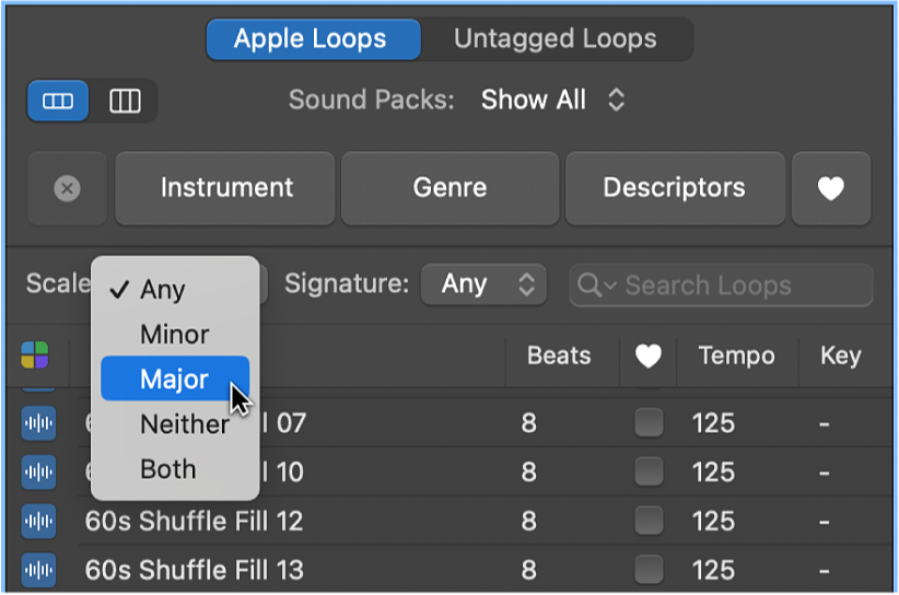 Figure. Scale pop-up menu in the Loop Browser.