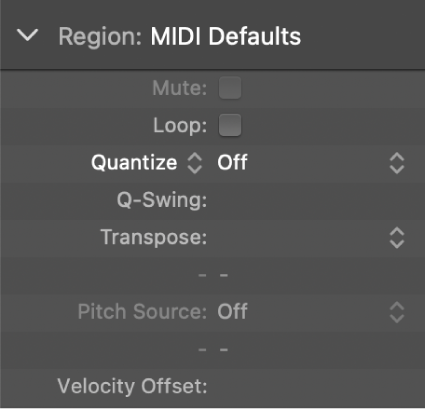 Figure. Quantize parameter in the Region inspector.