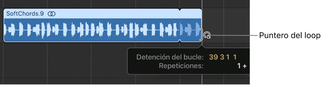 Ilustración. Se está reproduciendo un pasaje en loop en el área Pistas. La etiqueta de ayuda muestra la longitud del pasaje y el número de repeticiones.