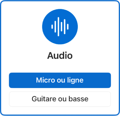 Figure. Sélection d’une icône Audio dans la zone de dialogue Nouvelles pistes.