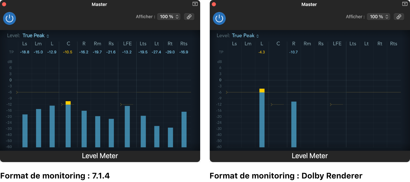 Figure. Affichage du Level Meter pour différents formats de monitoring.