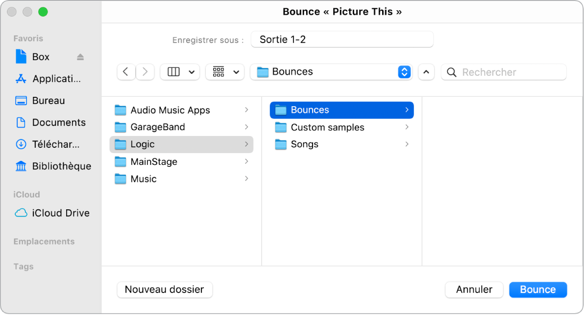 Figure. Réglages de nom de fichier et de dossier dans la fenêtre Bounce.