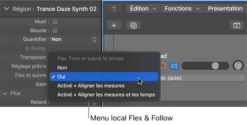 Figure. Menu Flex et suivre dans l’inspecteur de région.