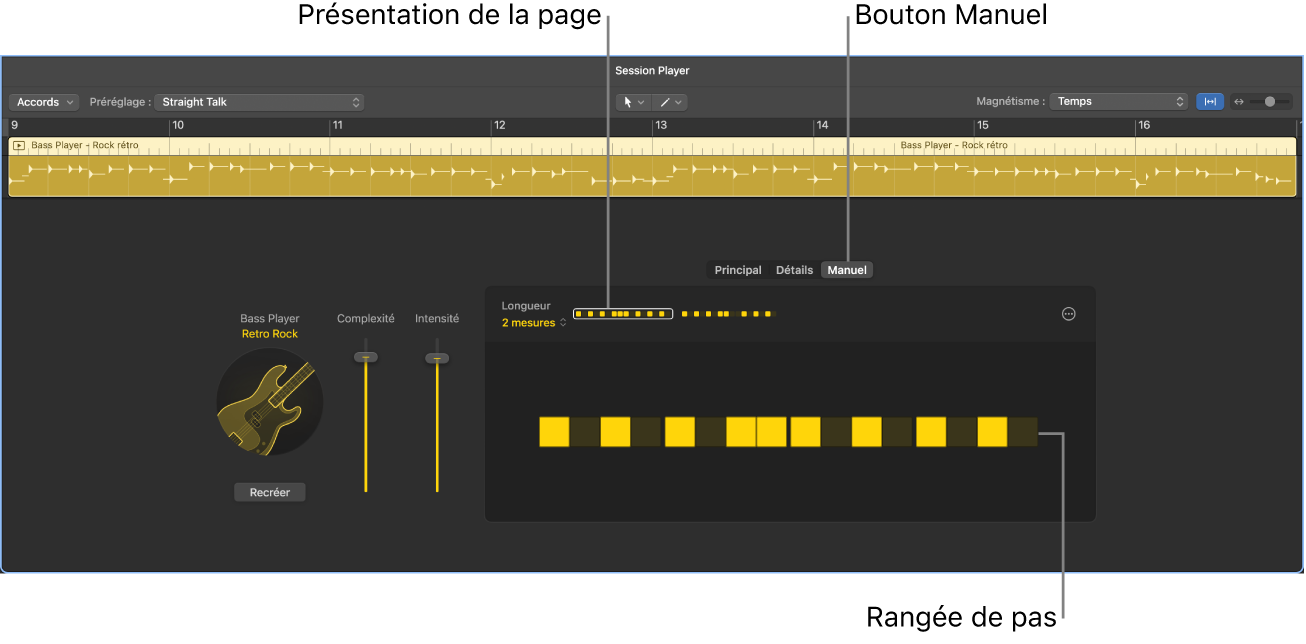 Figure. Présentation Manuel dans l’éditeur de Session Player.