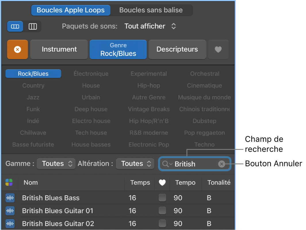 Champ de recherche et bouton Annuler dans le navigateur de boucles.