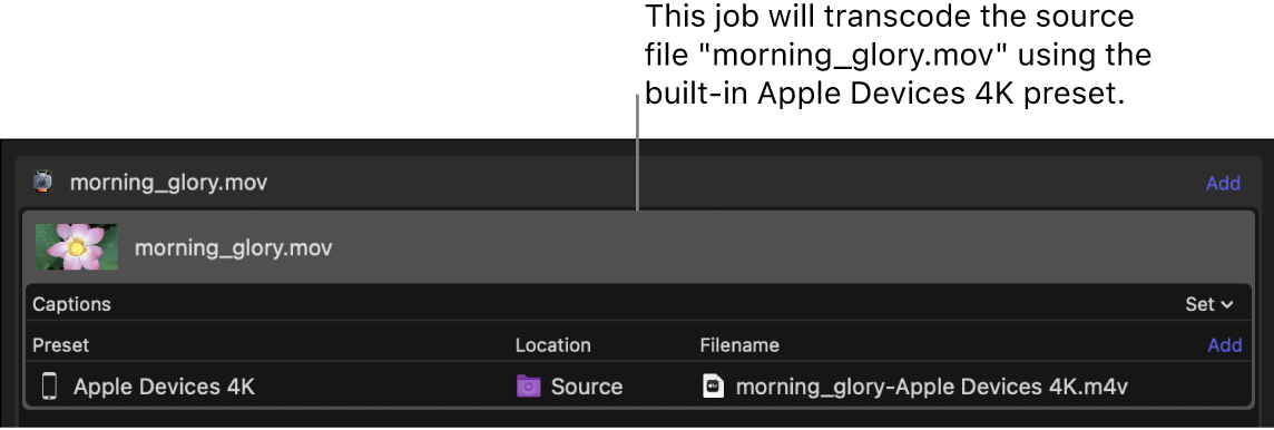 Batch area showing single job with a single preset applied.