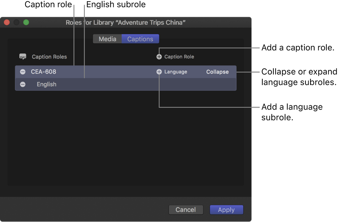 Bereich „Untertitel“ des Rolleneditors mit einer Untertitelrolle im Format „CEA-608“ und einer Subrolle für Englisch