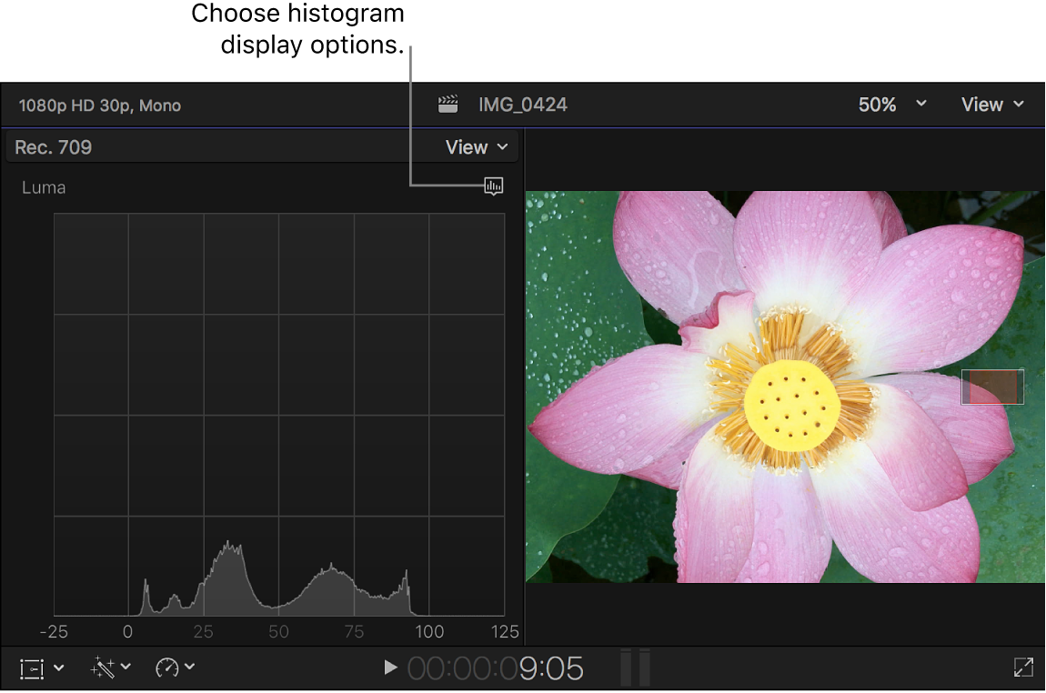 The Luma histogram shown to the left of the viewer