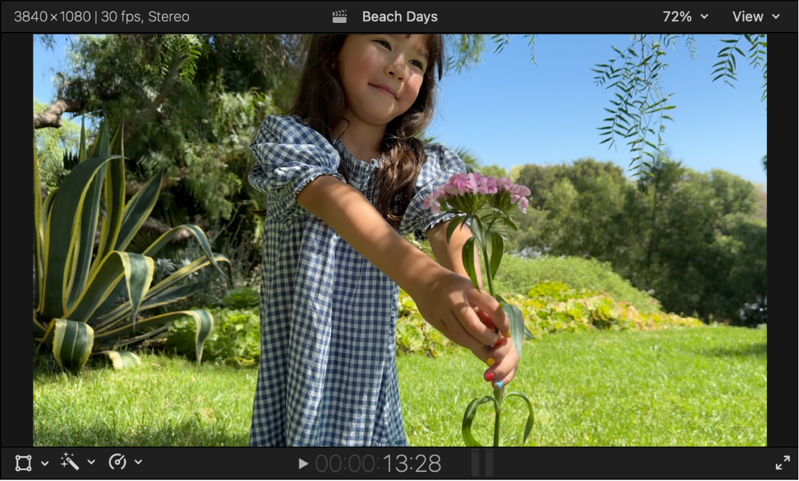 The viewer showing a stereo video clip in full color