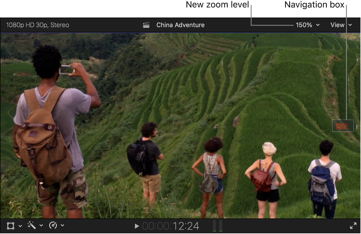 The zoom level set to 150% and the navigation box showing the portion of the image visible in the viewer