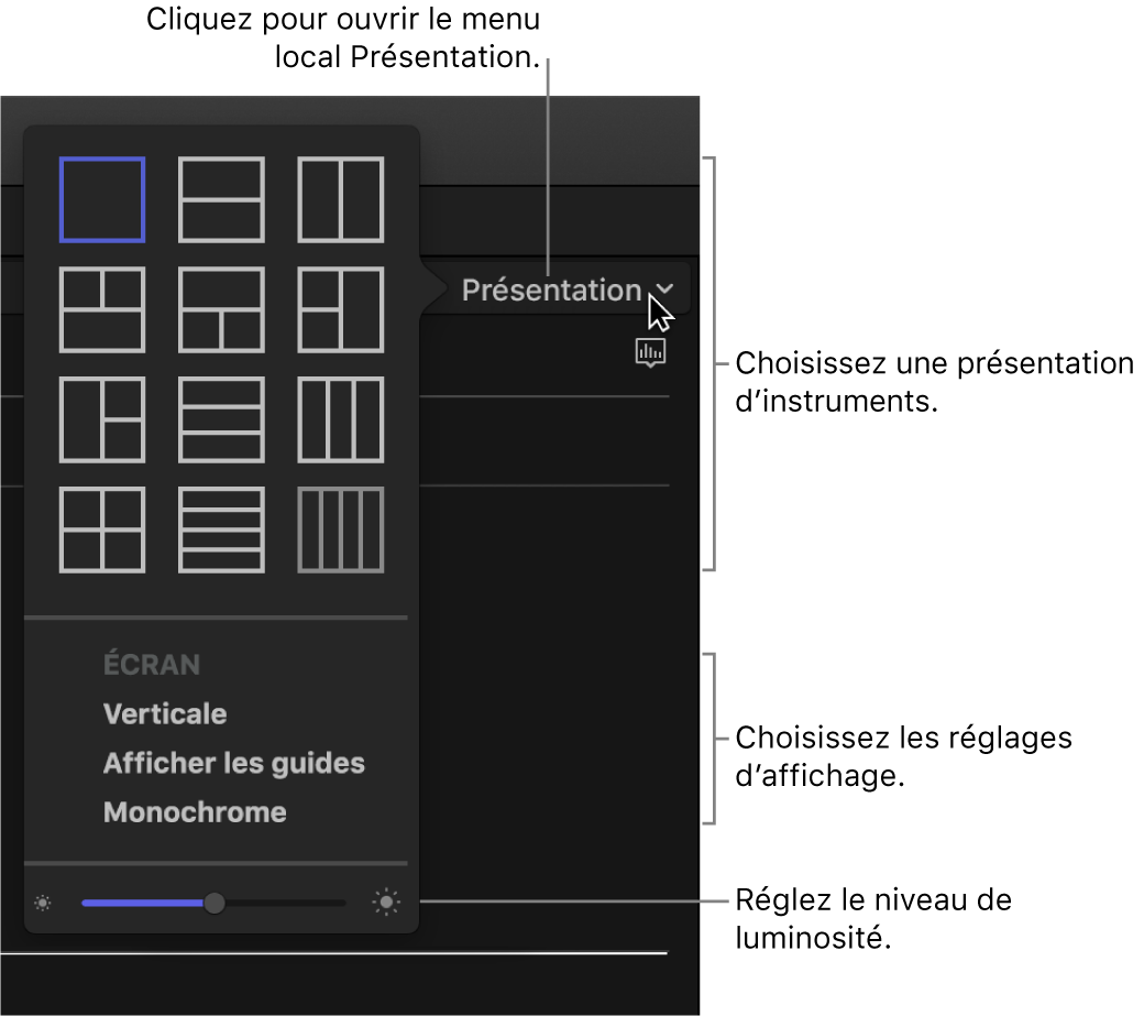 Options du menu local Présentation au-dessus de l’affichage des instruments vidéo