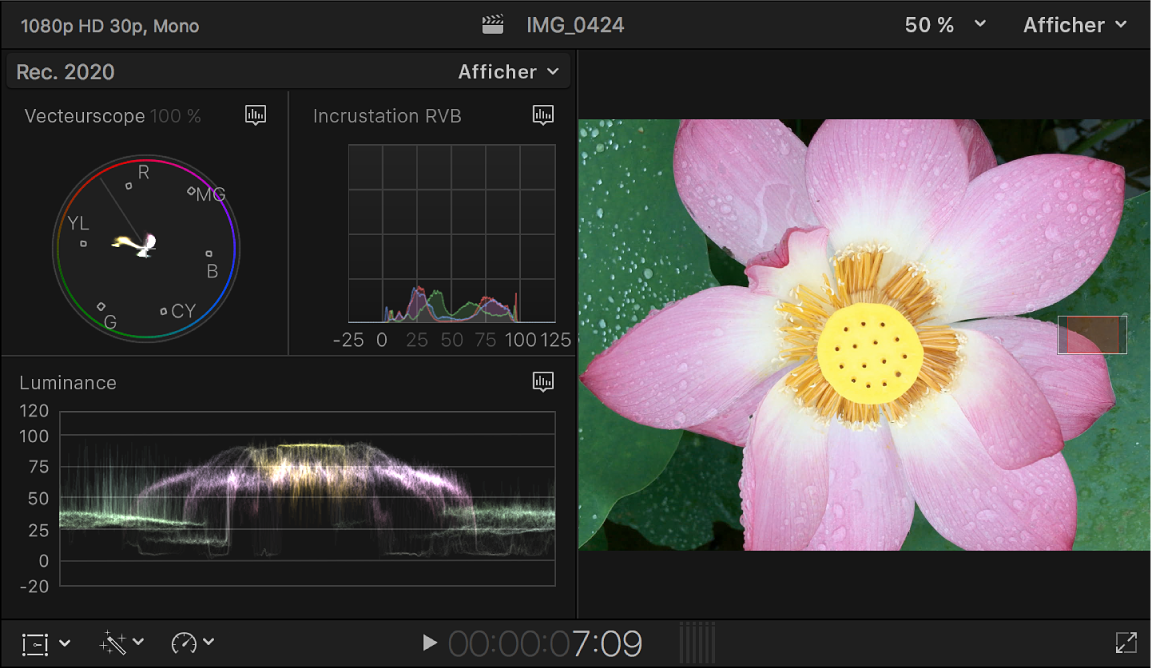 Vecteurscope, histogramme, oscilloscope et visualiseur