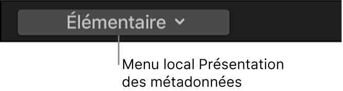 Menu local Présentation des métadonnées