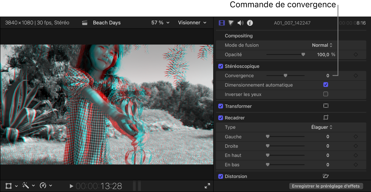 Le visualiseur affichant un plan stéréo en présentation Anaglyphe monochrome et l’inspecteur montrant le curseur Convergence réglé sur 0