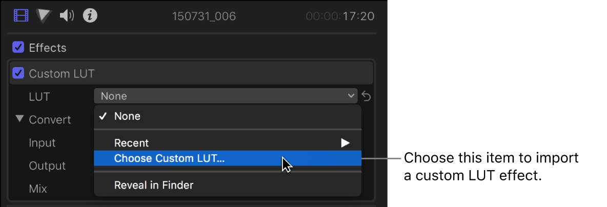 在视频检查器的“自定义 LUT”部分中，“LUT”弹出式菜单的“选取自定义 LUT”已选中