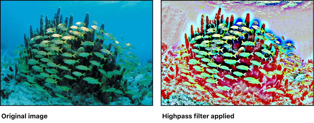 Canvas showing effect of Highpass filter