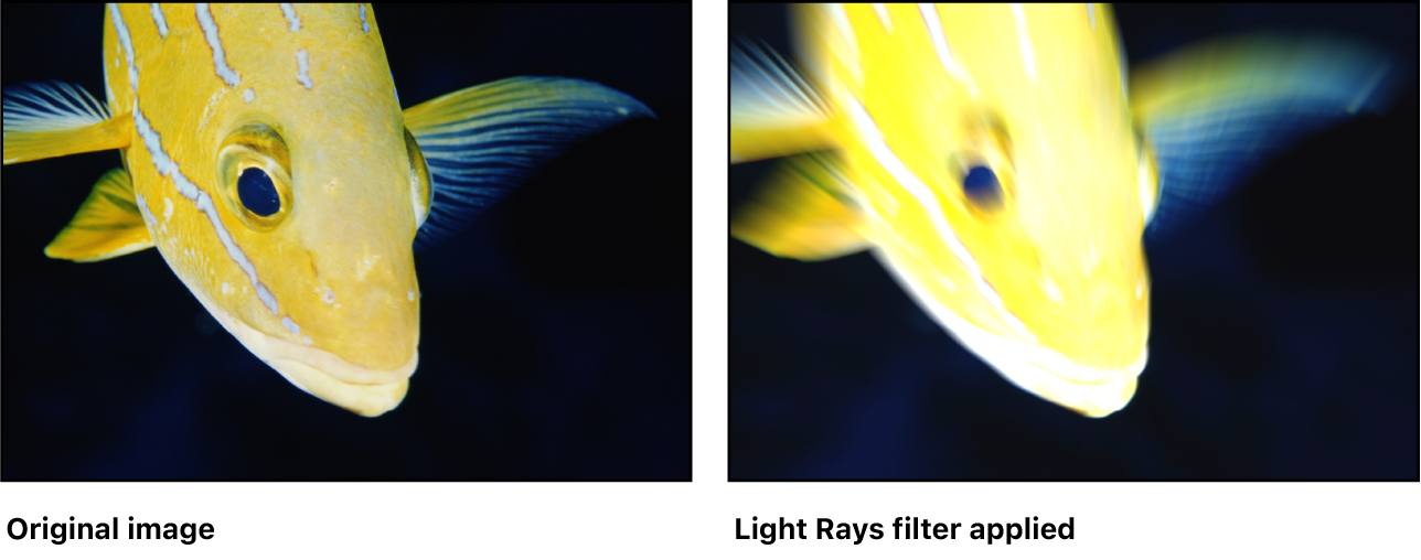 Canvas showing effect of Light Rays filter