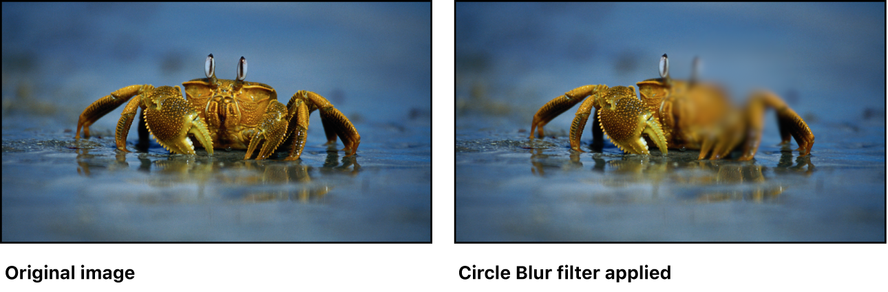 Canvas showing effect of Circle Blur filter