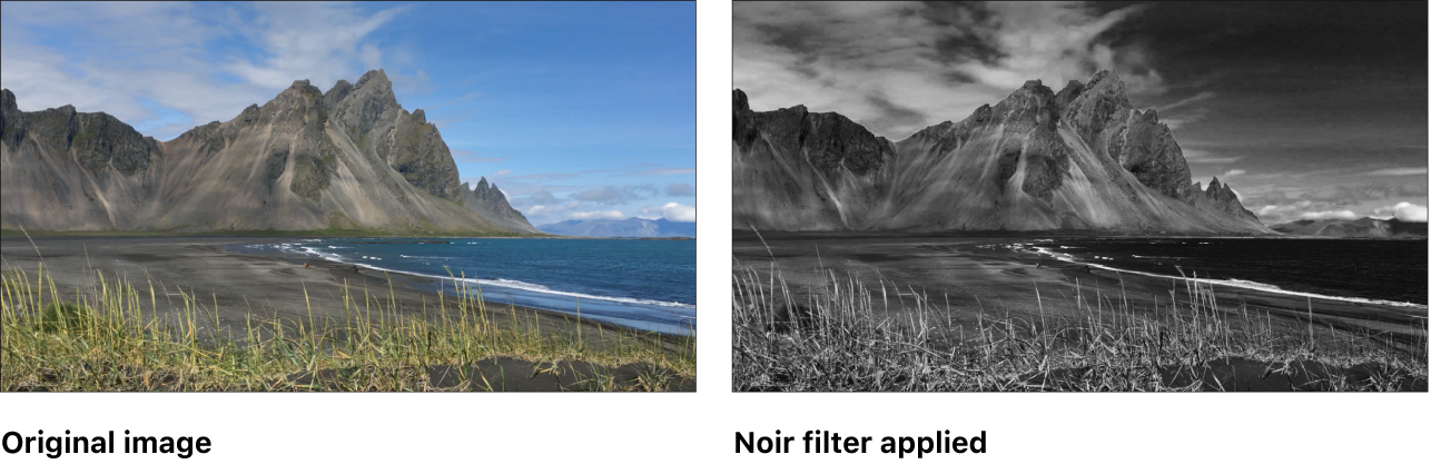 Canvas showing effect of Noir filter