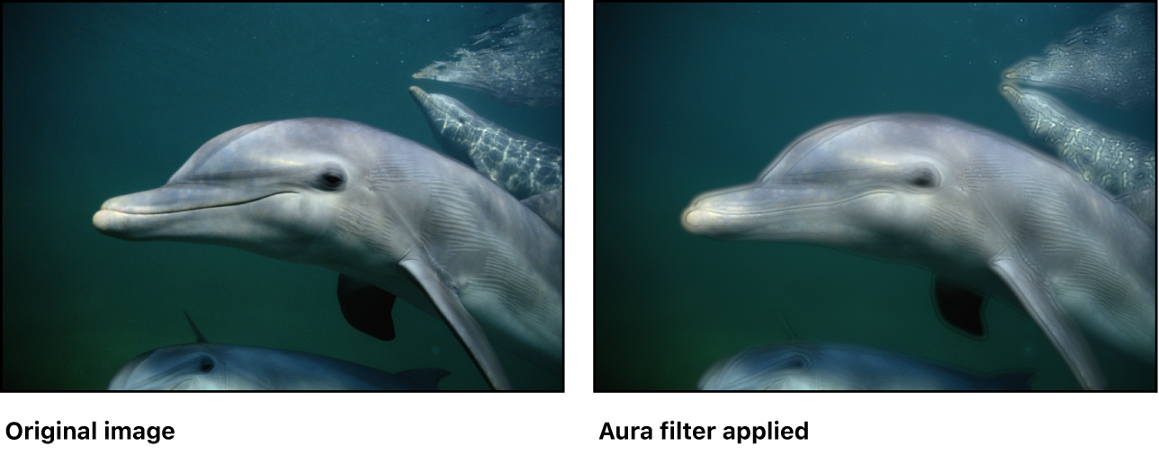 Canvas showing effect of Aura filter