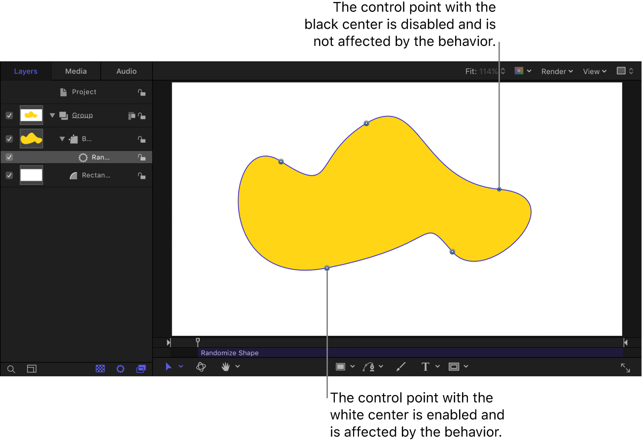 Canvas showing shape with Randomize Shape behavior applied