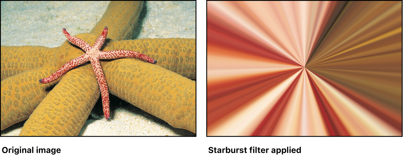 Canvas showing effect of Starburst filter